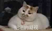 如果代码按行付费，会有什么好玩的事情发生？